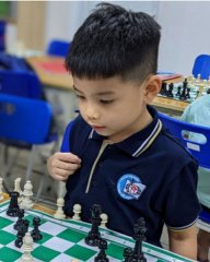 Trần Tri Tú