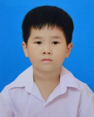 Vi Ngọc Thái Bảo