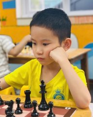 Lê Sỹ Mạnh Đức